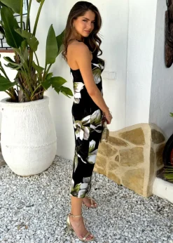 Dresses><noscript><img width=