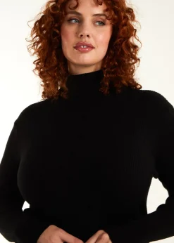 Knitwear>Blue Vanilla Curve Ribbed Roll Neck Midi Dress Black