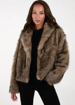 Coats & Jackets>Blue Vanilla Brown Short Plush Fur Coat