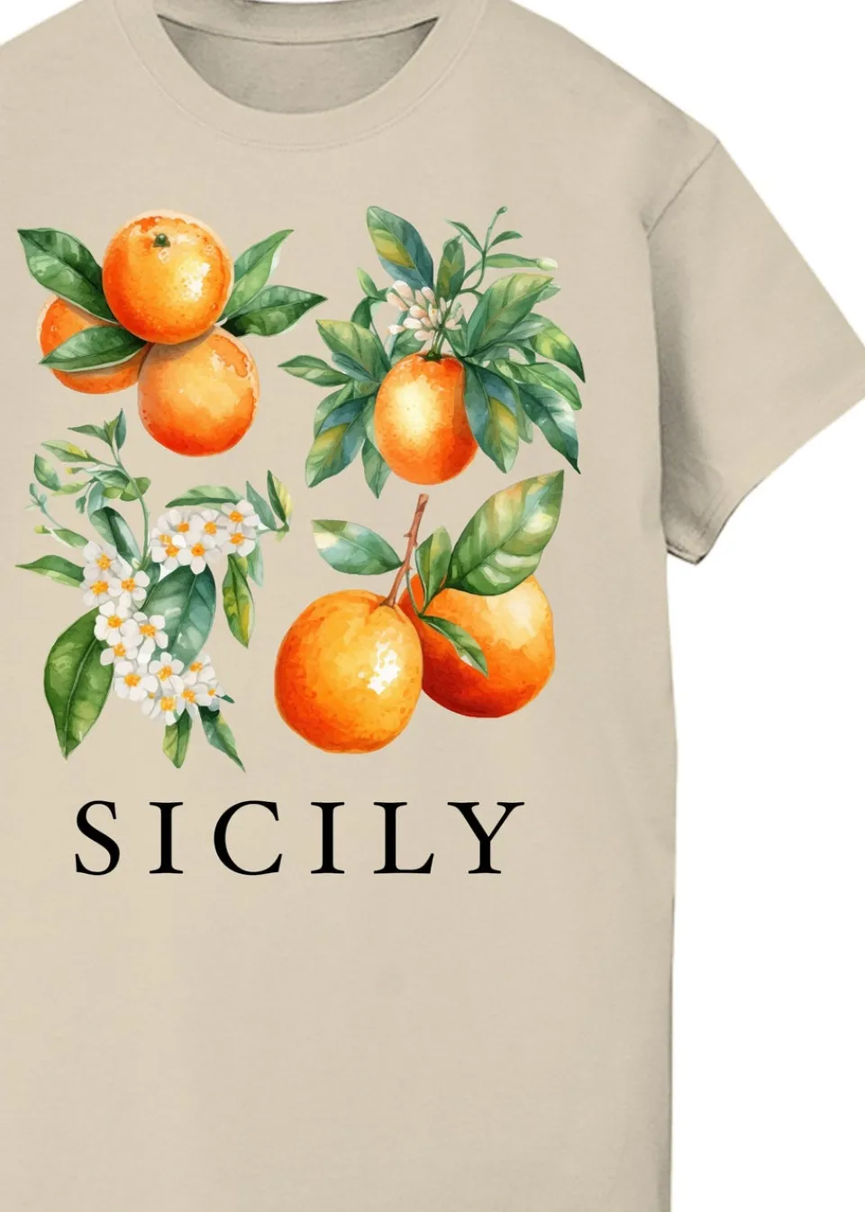 T-Shirts>Brands In Sicily Oranges Sand Boyfriend Fit Graphic T-Shirt