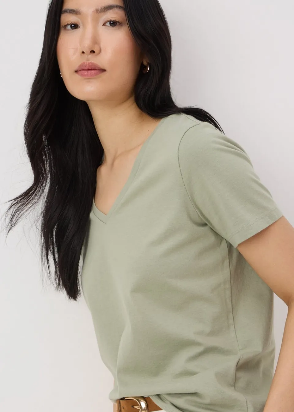 T-Shirts>Papaya Green V-Neck Regular Fit T-Shirt