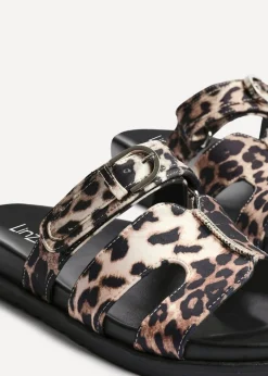 Footwear><noscript><img width=