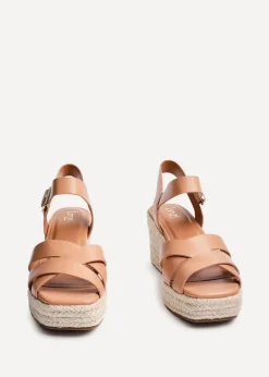 Footwear><noscript><img width=