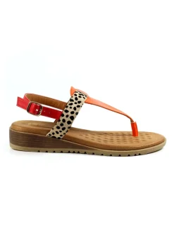 Footwear><noscript><img width=