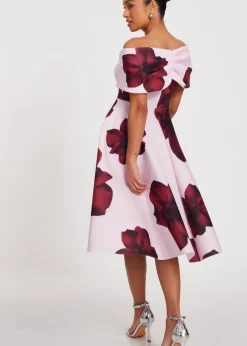 Dresses><noscript><img width=