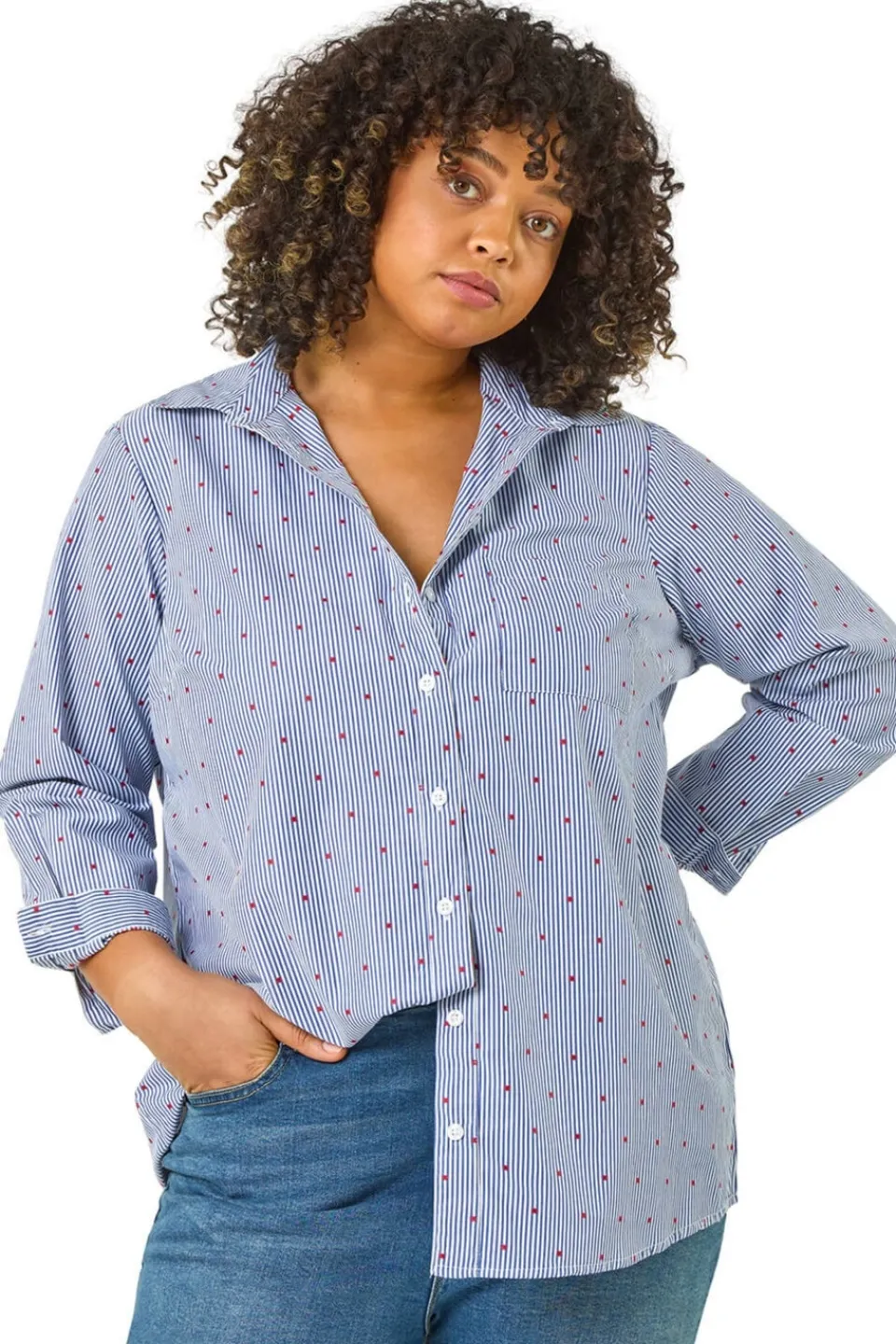 Tops>Roman Blue Curve Dobby Spot Stripe Shirt