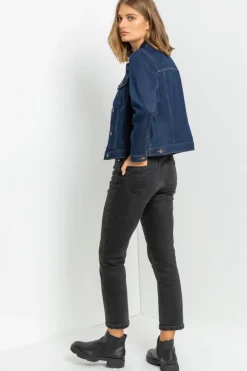 Coats & Jackets>Roman Indigo Classic Cotton Denim Jacket 005LIndigo