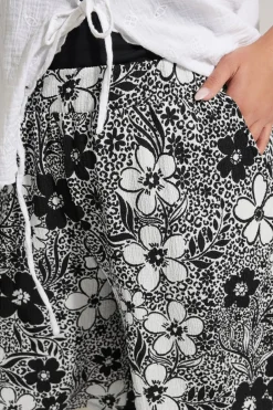 Shorts><noscript><img width=