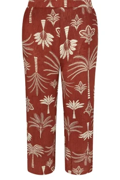 Trousers><noscript><img width=